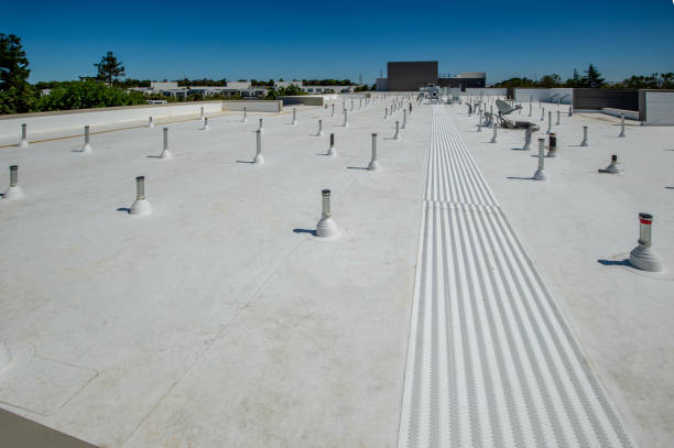 Best Commercial Roofing Services  in Dell Rapids, SD